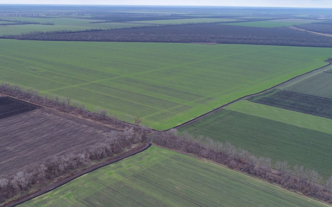 Продаж агропідприємства 2000га, Полтавська область