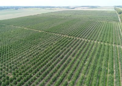 Продаж садового господарства 740 га у Вінницькій області