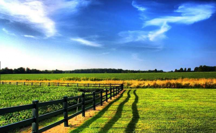 Продаж земельної ділянки (2-11Га), Києво-Святошинський район